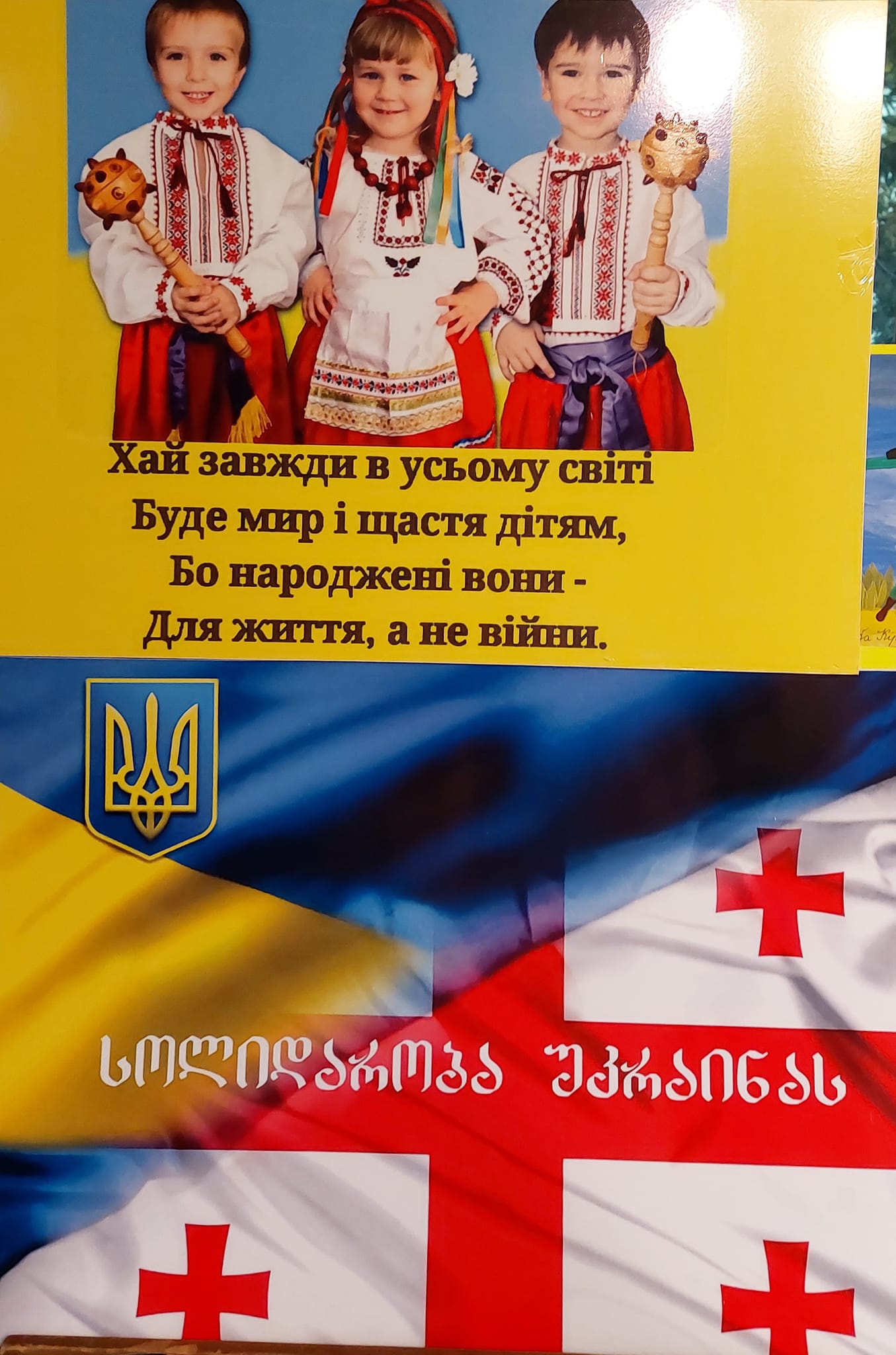 ya-dushu-odyagnu-u-vyshyvanku-017